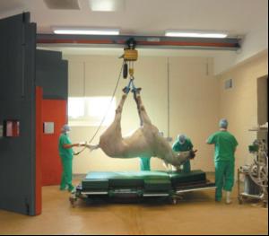 Reliable lifting is no horseplay