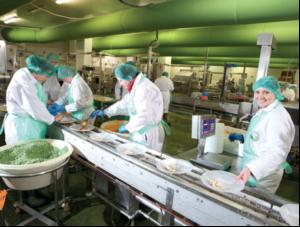 State of the art sprinkler system