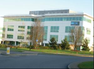 Roof safety solution