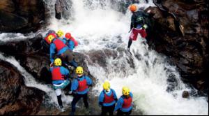 A walk on the wild side