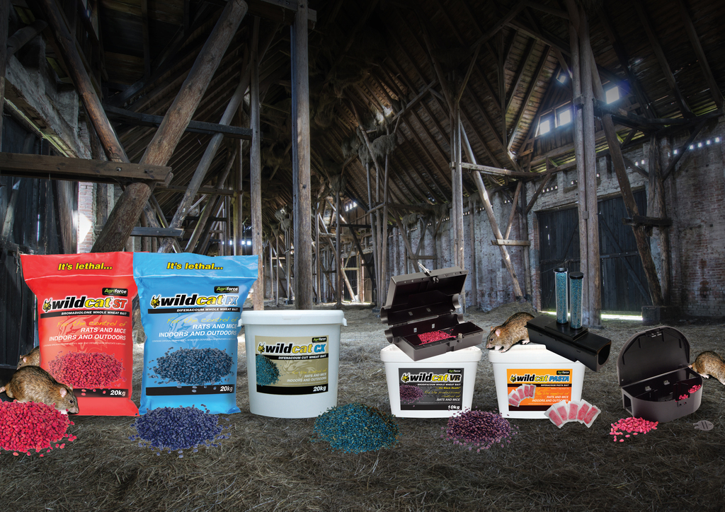 apm wildcat a4 image hr v2