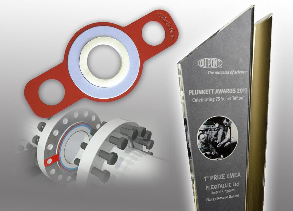 2013-0331_flexitallic_lres