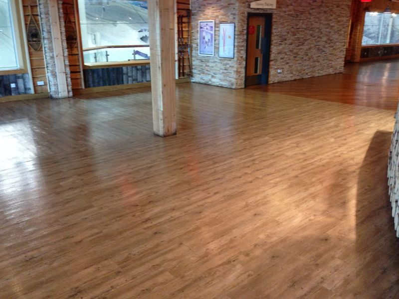 8d4e2c45553dfe21_800x800ar