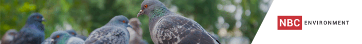 NBC Environmant