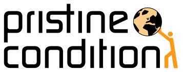 pristine-condition-manual-handling