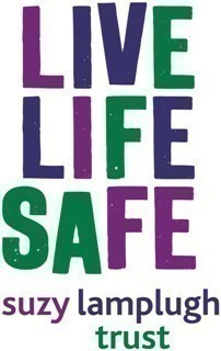 Bespoke train the trainer and consultancy package