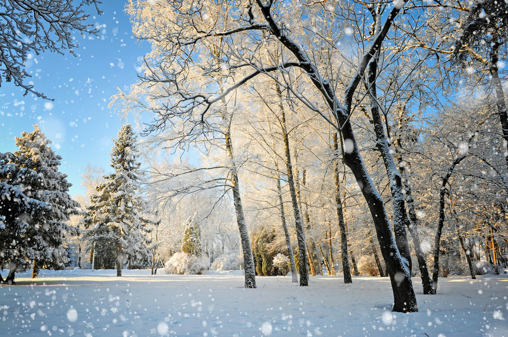 3. snowy scene shutterstock 164177732