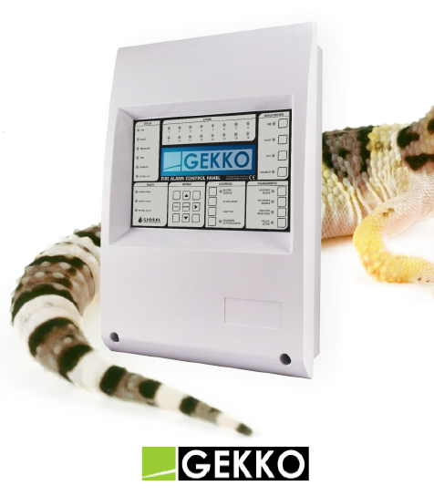 gekko picture