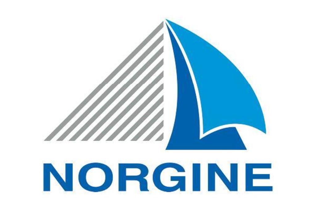 Norgine logo